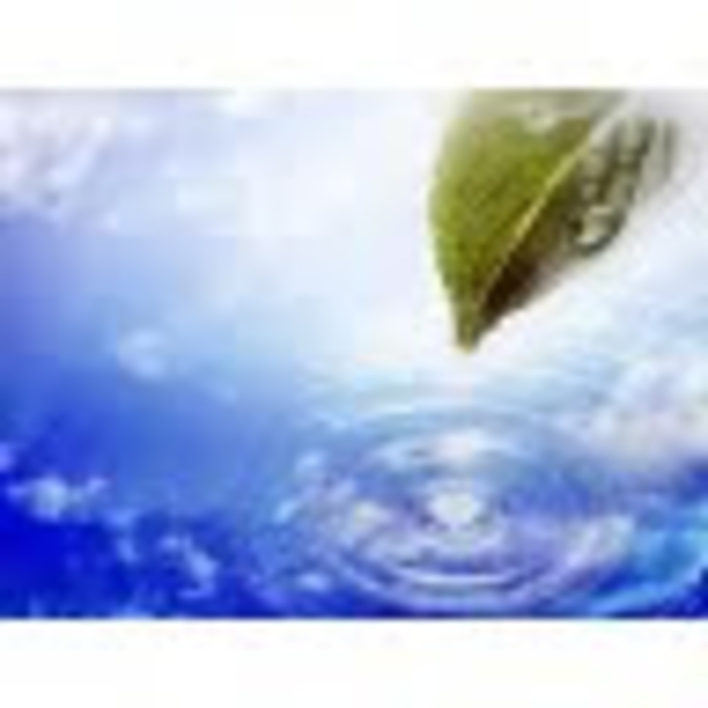 Meet your Posher, Wenling